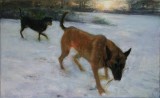 Honden in de sneeuw